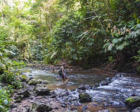 Crossing a stream on Osa Peninsula