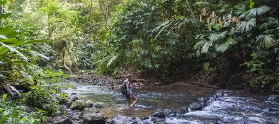 Crossing a stream on Osa Peninsula