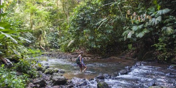 Crossing a stream on Osa Peninsula
