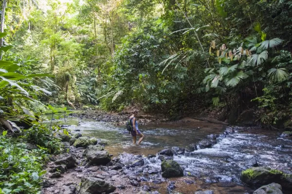 Crossing a stream on Osa Peninsula