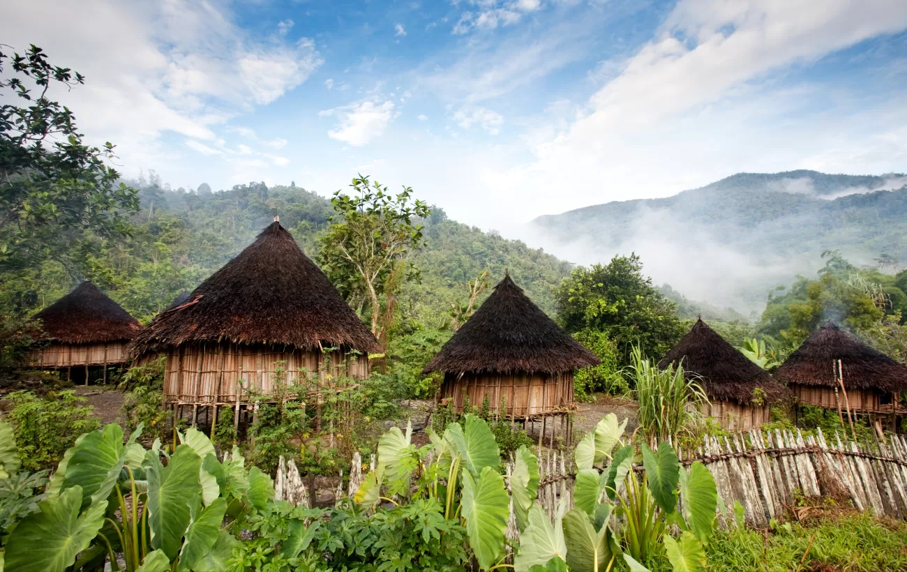 Traditional hut in Papua New Guinea