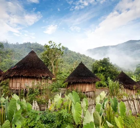 Traditional hut in Papua New Guinea