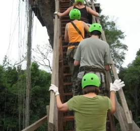 up the ladder