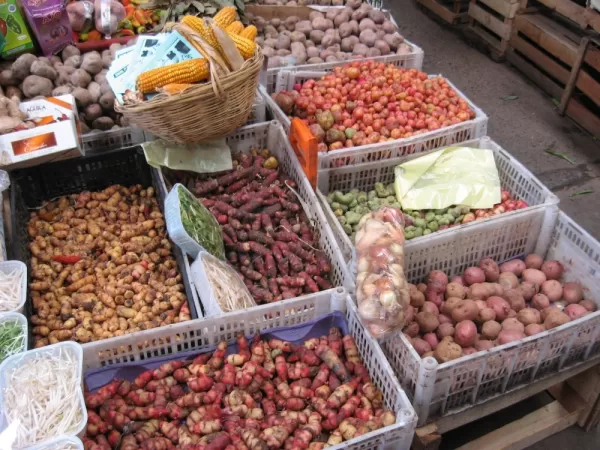 Potatoes in the Salta market