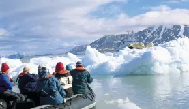 Looking for polar bears in the zodiac