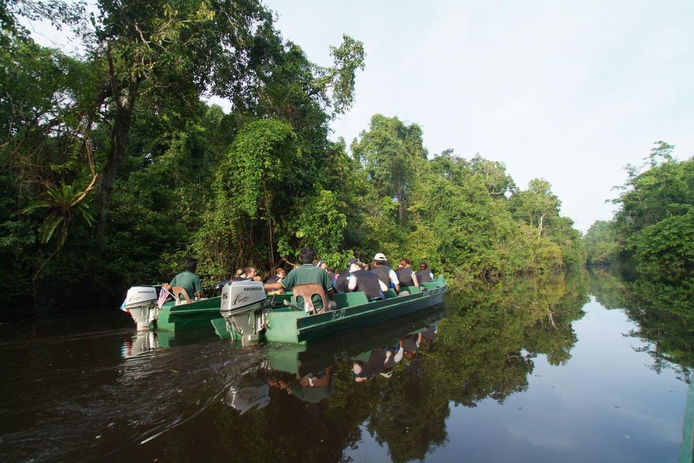 Borneo Tours - 4 Day Sabah Wildlife Safari