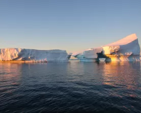Icebergs at sunset