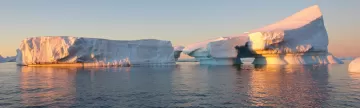 Icebergs at sunset