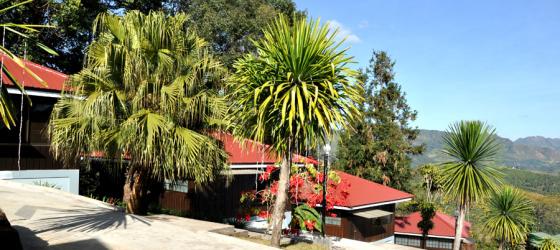 Golden Butterfly Hotel