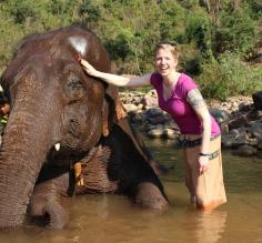 Elephant bath time! Laura Cahill