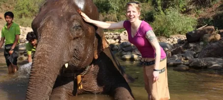 Elephant bath time! Laura Cahill