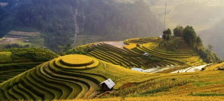 Terraced rice fields