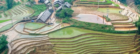Rice paddy terraces during planting season