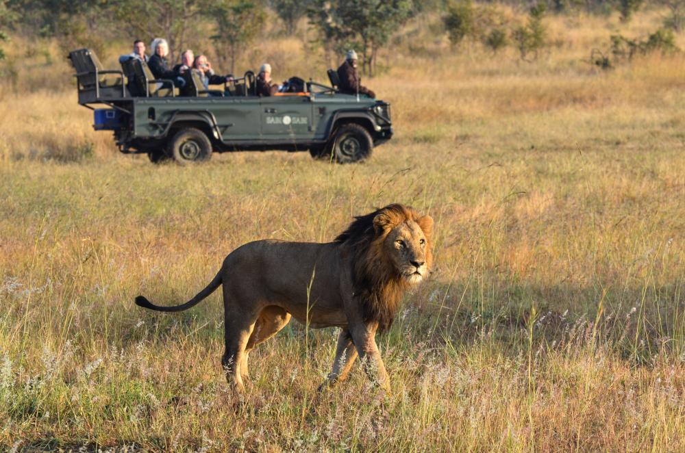 Sabi Sabi Bush Lodge located in Sabi Sabi Game Reserve