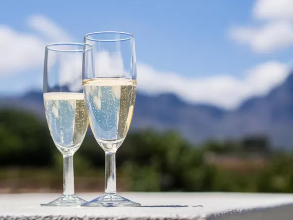 South African white sparkling wine in a garden