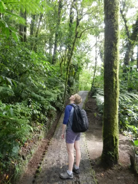 Laura in awe of the cloud forest
