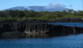 Isabela, Volcano Negro