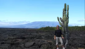 Cactus on Isla Isabela