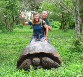 Galapagos Tortoise, El Chato Reserve