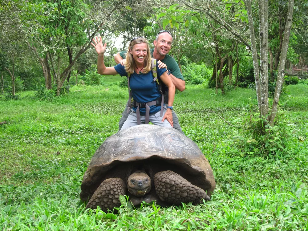Galapagos Tortoise, El Chato Reserve