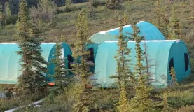 Camping in Denali