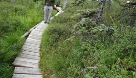 Hiking Alaska's trails