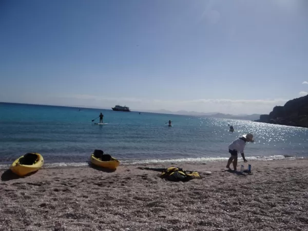 Kayaking and Paddle Boarding Sea of Cortez