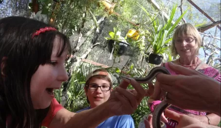 Snake at Serpentarium La Paz