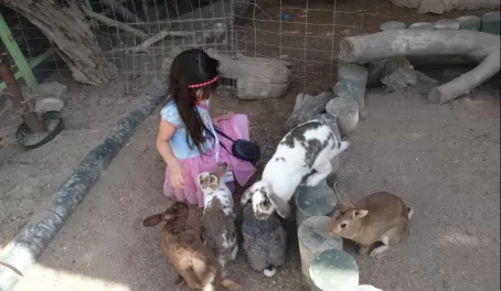 Rescued Bunnies at Serpentarium La Paz