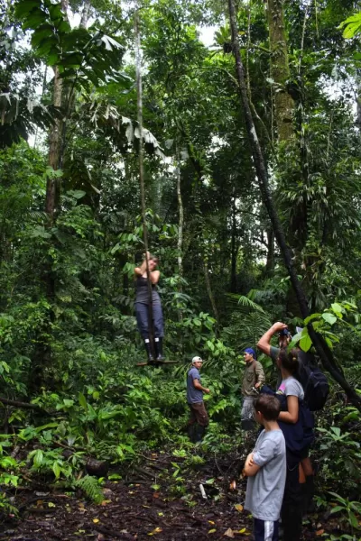 Tarzan swing in the Amazon