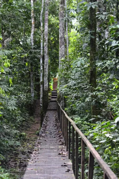 Walkway at La Selva Lodge