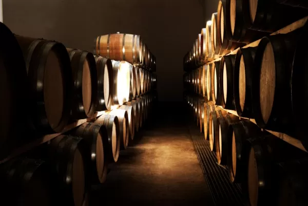 French oak barrels in wine cellar