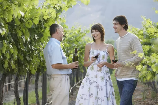 Enjoy a wine tasting in a local vineyard