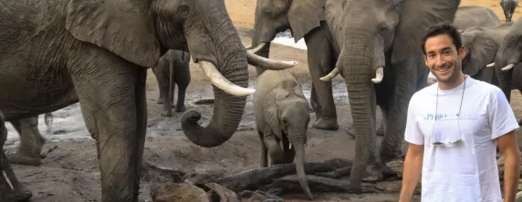 Extraordinary up close elephant encounters