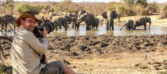 Photographing Elephants on safari