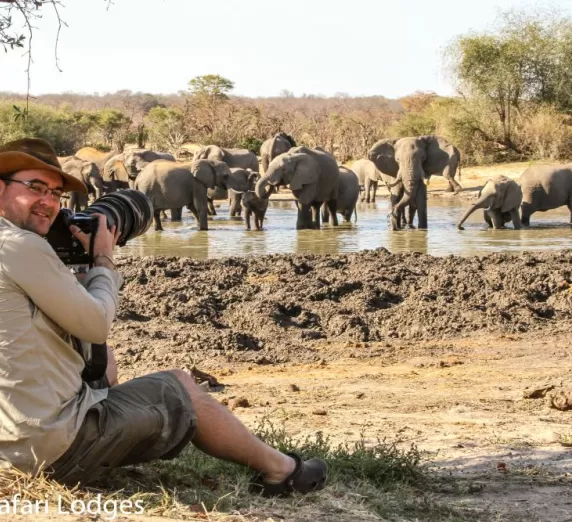 Photographing Elephants on safari