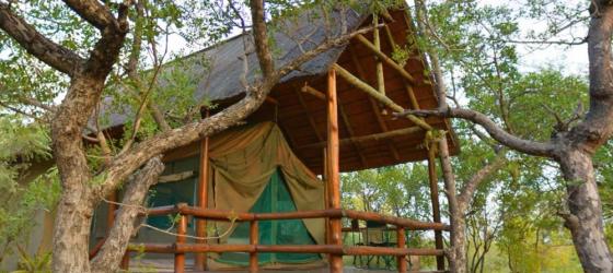 Sausage Tree Safari Camp