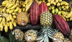 Fresh produce at a market