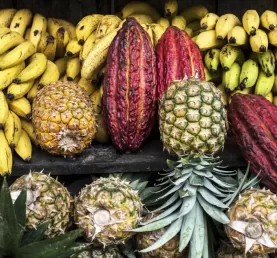 Fresh produce at a market
