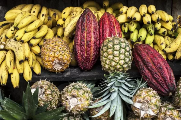 Fresh produce at a market