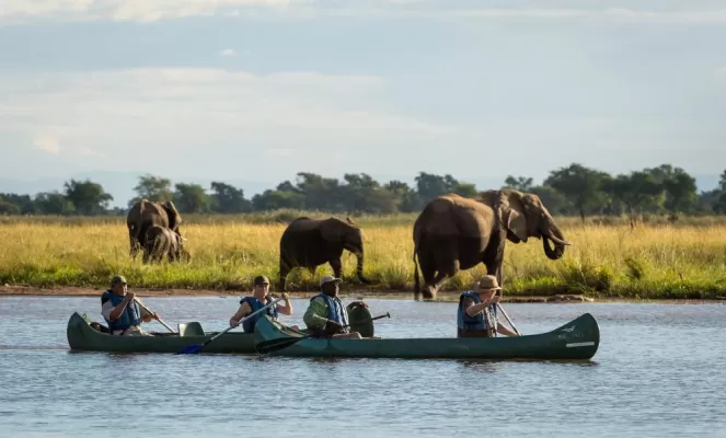 Cruising the Zambezi