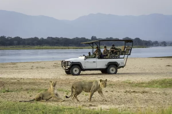 Lions spotted at Mana Pools