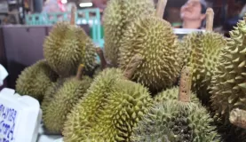 Durian at the Mae Klong Market